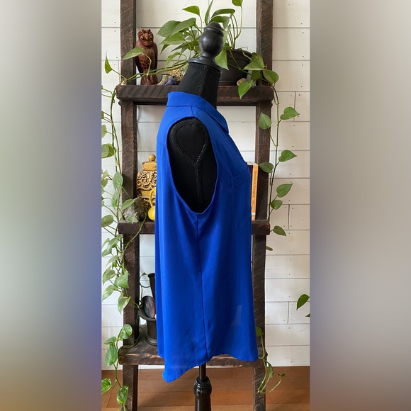 Apt 9: Elegant Royal Blue Button Down Shirt - Picture 16 of 17